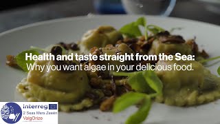 Celebrity ValgOrize - Algae-based food for Europe Net Worth