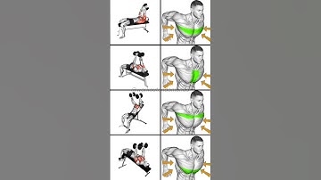 Build a Powerful Chest: Best Dumbbell Chest Workouts for Massive Gains!