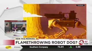 Flamethrowing Robot Dog?
