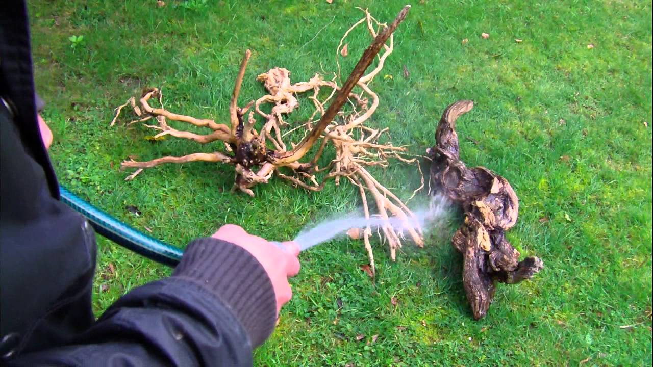 cleaning drift wood showing