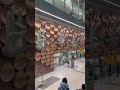 That feeling of returning home #delhi #airport #igi #travel #explore