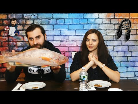 პლასტმასის თევზის დაგემოვნება თეოსთან ერთად