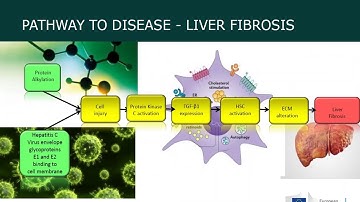 Integration of New Approach Methods for Testing and Assessment