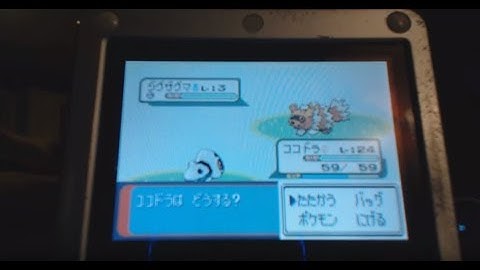 {BQ#3) LIVE! Shiny Zigzagoon in Japanese Sapphire after 9037 REs!!