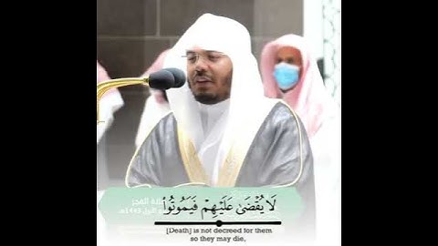 ما تيسر من سورة فاطر بصوت الشيخ ياسر الدوسري 🤍