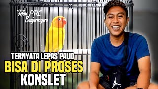 MODAL GACOR DARI LEPAS PAUD, IRFAN PRC BERHASIL CETAK JANTAN KONSLET DURASI