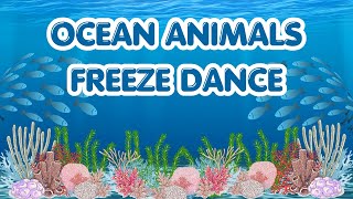 Ocean Animals Freeze Dance | Dance and Freeze screenshot 5