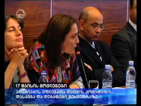 ადამიანის უფლებათა დაცვის კომიტეტის დასკვნა და დებატები შეხვედრაზე