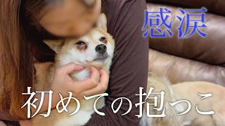 【感動】「手に負えない」と捨てられた保護犬に奇跡が起きました。