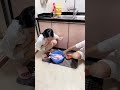 Very funny clip #korea #japanvlog #indianprank #funny #viralshort #viralvideo #indianprank #shorts