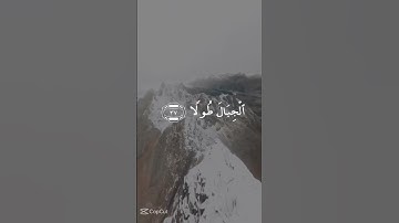القرآن الكريم الشيخ #عبدالولي_الأركاني