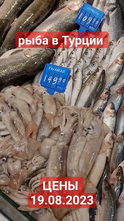 цены на рыбу в Турции 2023 г. морские продукты цены 19 августа. лосось ...