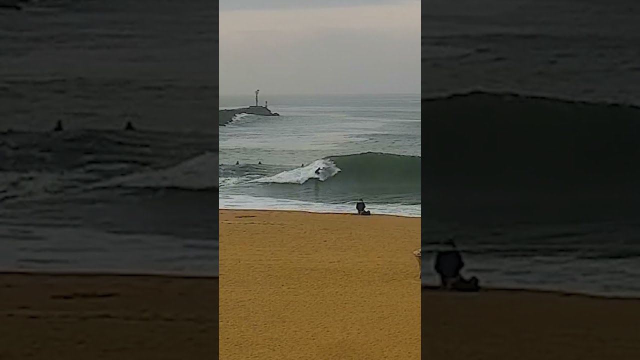 Clips