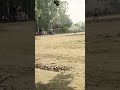 Match Ke Beech Me "BAARAT" 🏏🕺 || #shorts #shortsviral #cricket #trending