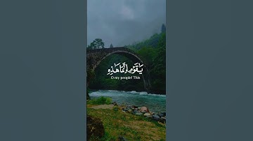 سورة غافر تلاوة خاشعة بصوت رعد الكردي