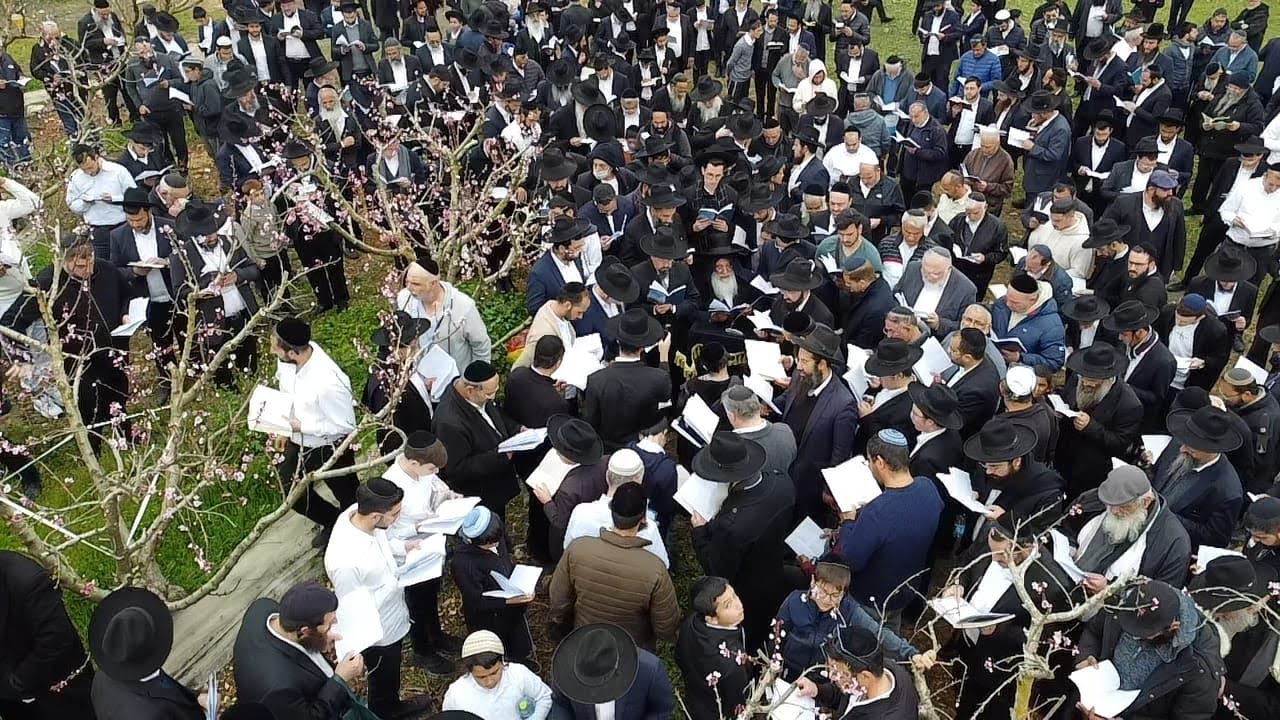 ברכת האילנות ברוב עם ר"ח ניסן תשפ"ג עם מו"ר ר' בניהו שמואלי שליט"א