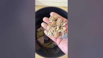 Crystal Mining Bucket! All Stones are Authentic!