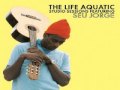 seu jorge - life on mars