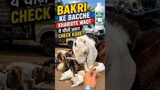 Bacche Kharidte Waqt Yeh Cheezein Zarur Check Kare #goat #babygoats #goatcare #goatfarming #shorts