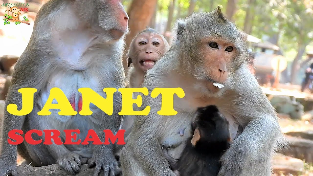 JANET CRY RUN OUT ANGRY MOM JANE DENY MILK HER , JANE CAN'T GIVE MILK TO HER DAUGHTER JANET |