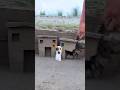 Creative funny video ideas 💡 #amazing #trending #videography #shortvideo #shorts #viral