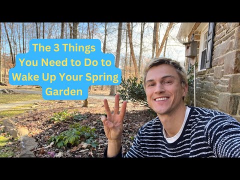Spring Garden Preparation
