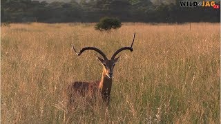 FIELD REPORT – The Ultimate, Episode 4/4