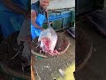 Focus on Uncle's method of splitting tuna like splitting durian #fish #tuna_fish_cutting #talon