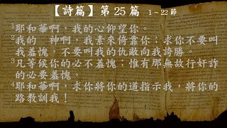 05-08 詩25 詩29 詩33 詩36 詩39 全年讀經(聖經時序)【有聲聖經】新標點和合本女聲朗讀