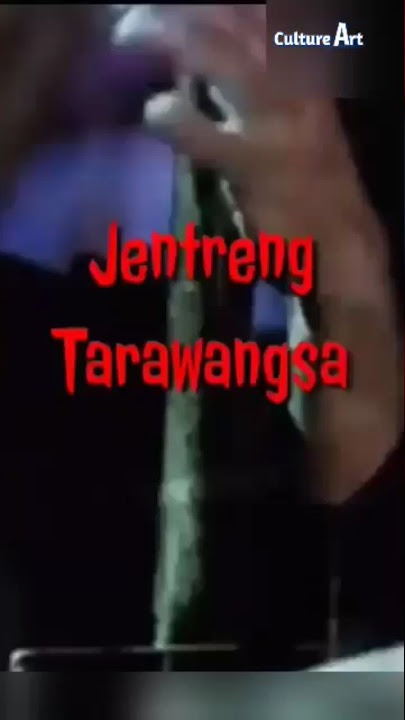 Tarawangsa #shorts #tarawangsa