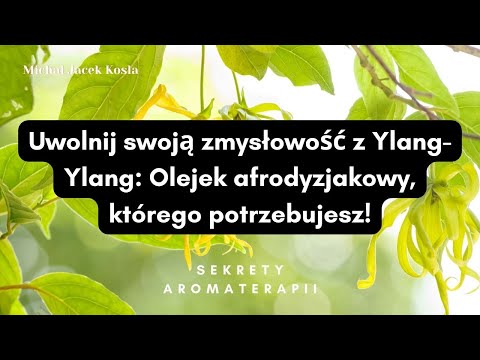 Wideo: Olejek Eteryczny Ylang Ylang Zastosowania I Zalety