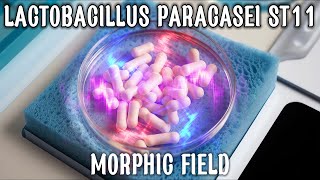 Download Lagu Lactobacillus paracasei ST11 (NCC2461) Morphic Field - Subscriber's Request MP3 Download Lagu Lactobacillus paracasei ST11 (NCC2461) Morphic Field - Subscriber's Request MP3