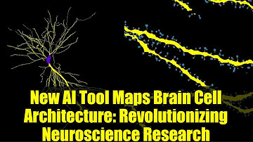 New AI Tool Maps Brain Cell Architecture: Revolutionizing Neuroscience Research