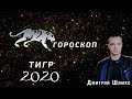 Гороскоп Тигр -2020. Астротиполог, Нумеролог - Дмитрий Шимко
