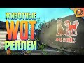 Смешные WoT реплеи #19 🤣 | Лучшие приколы в танках