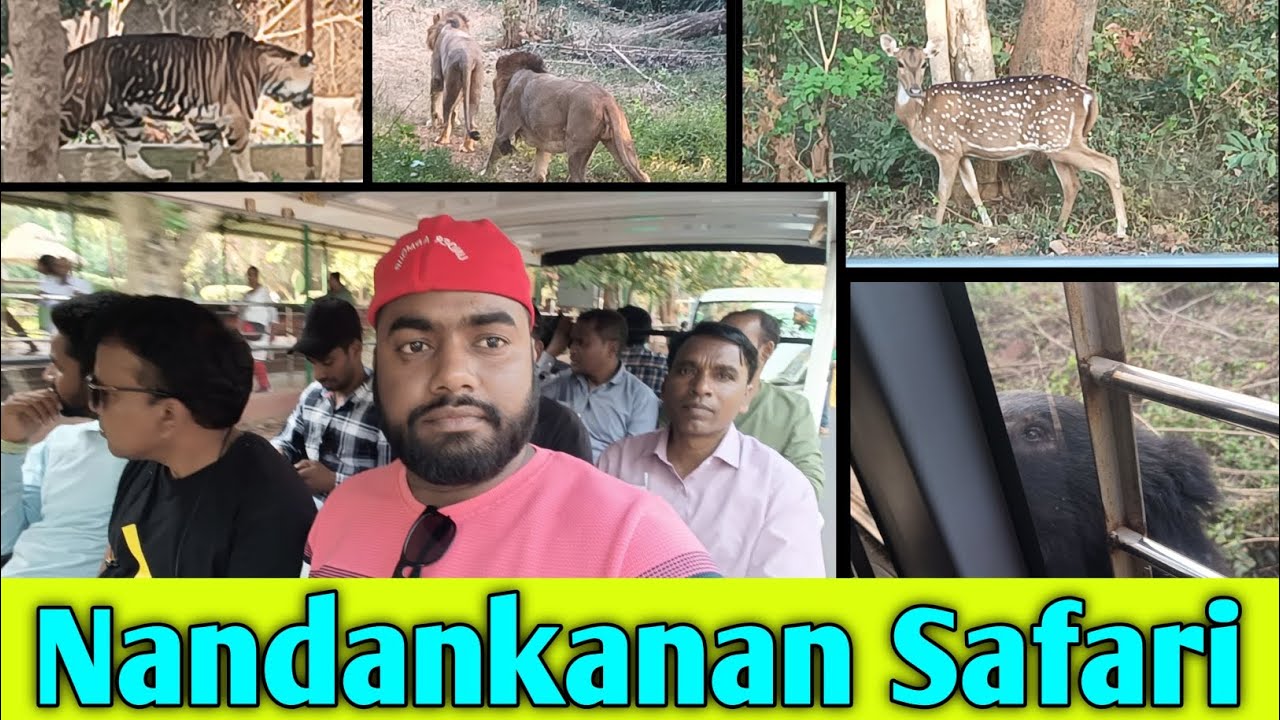 Nandankanan Zoological Park Safari Bhuneshwar Zoo Open Safari