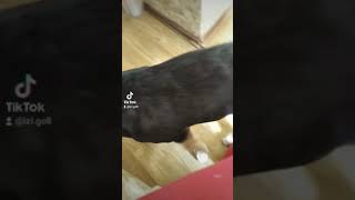 5 Апреля 2021 Г.