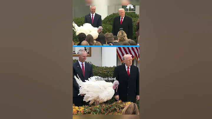 President Trump pardons turkeys Gobble and Waddle ahead of Thanksgiving