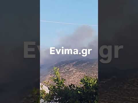 Εύβοια: Μεγάλη φωτιά στα Ζάρκα