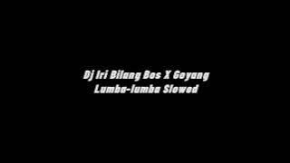 Dj Iri Bilang Bos X Goyang Lumba-lumba Slowed