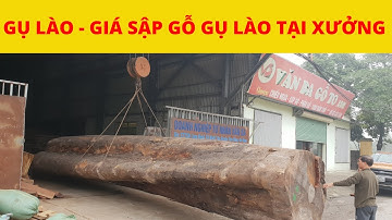 CHIẾU NGỰA - SẬP GỤ LÀO - GIÁ SẬP GỖ GỤ LÀO TẠI XƯỞNG VĂN BA GỖ TO. 0936666893