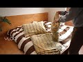 [VLOG]趣味は模様替え./ZARA 新作購入品/米粉スコーン作り/プレゼント探し 