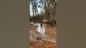 A scary discovery 🥴 QUICKSAND 😱