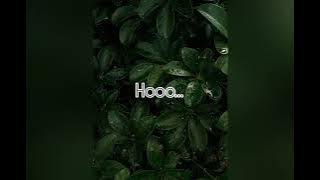 Belakang Tabir (Lirik) - Syamel