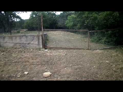 სასწრაფოდ! ნაკვეთის გარანტიით (ლისის თავზე)-600 კვ,მ- ვისესხებ თანხას-5000$-ტ. 574067168/ 599524834.