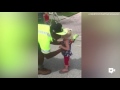 Toddler triplets and garbage men are bffs