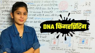 DNA FINGERPRINTING AND ITS FUNCTIONS | डीएनए फिंगरप्रिंटिंग और उसके कार्य | Class 12