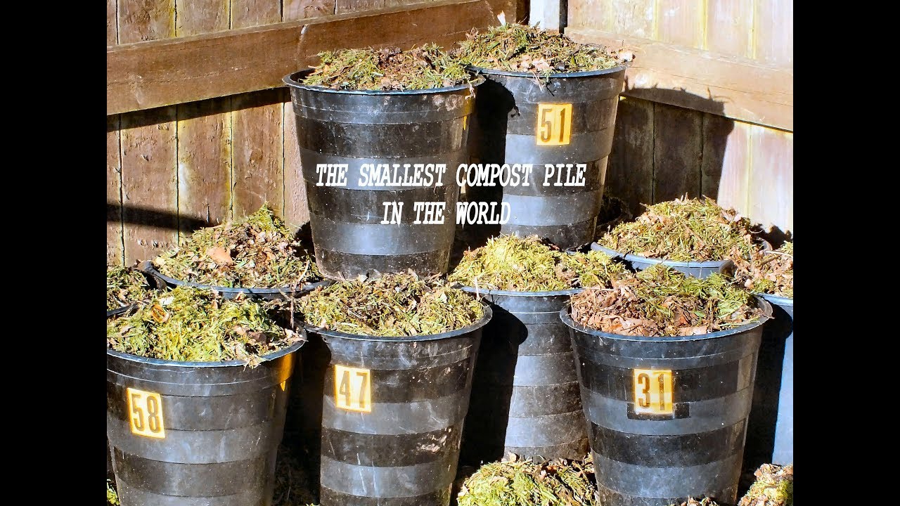 How to make the Smallest Compost Pile in the World, disappearing