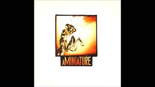 aMiniature - Towner On The B-Side