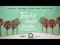 Tender Touch Riddim Mix | Patrice Roberts, Nailah Blackman, Olatunji, Hey Choppi | By DJ Kelvin